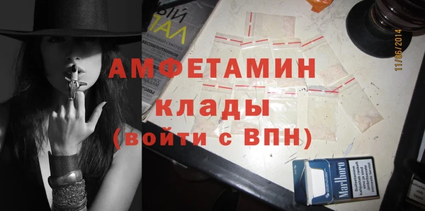 соль ск Ельня