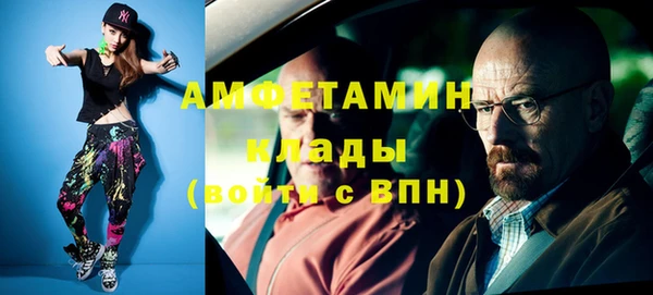 соль ск Ельня