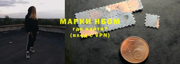 соль ск Ельня