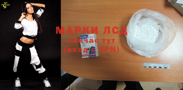соль ск Ельня