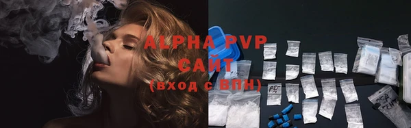 соль ск Ельня