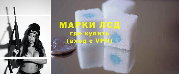 соль ск Ельня