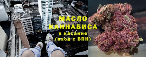соль ск Ельня
