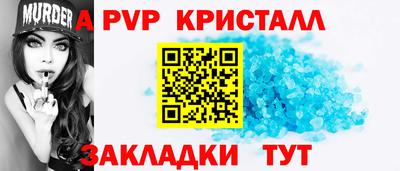 крисы Кингисепп