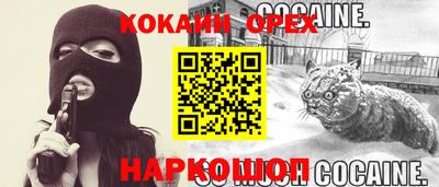 крисы Кингисепп