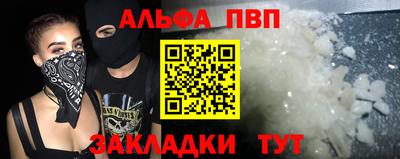 крисы Кингисепп