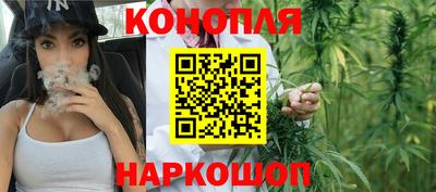крисы Кингисепп