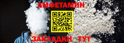 крисы Кингисепп