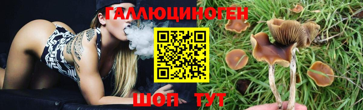 Галлюциногенные грибы Magic Shrooms Камышин