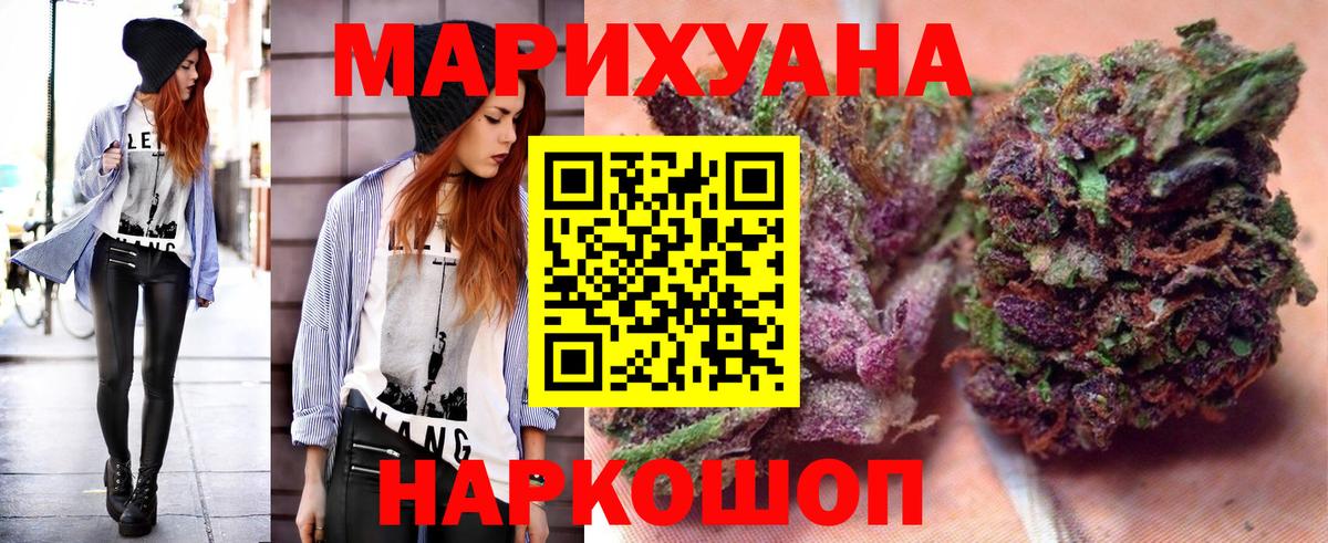 Канабис гибрид Камышин